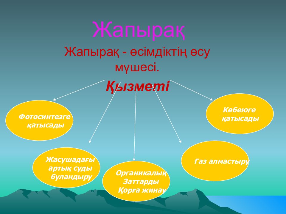Жапырақ