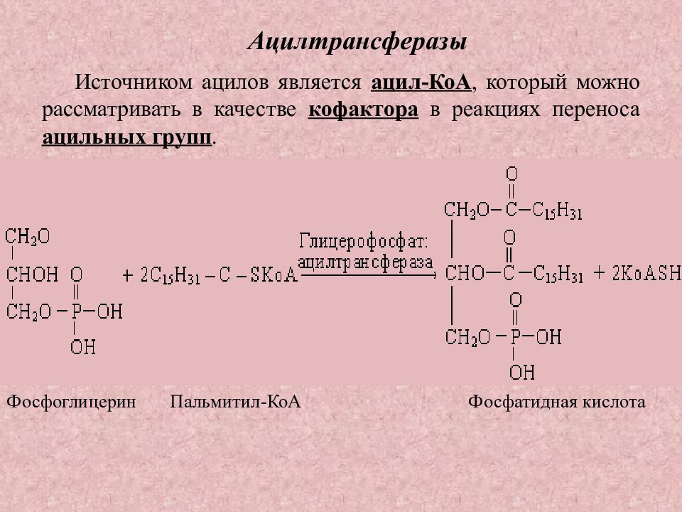 Схема реакции катализируемой ацил холестерол ацилтрансфераза ахад