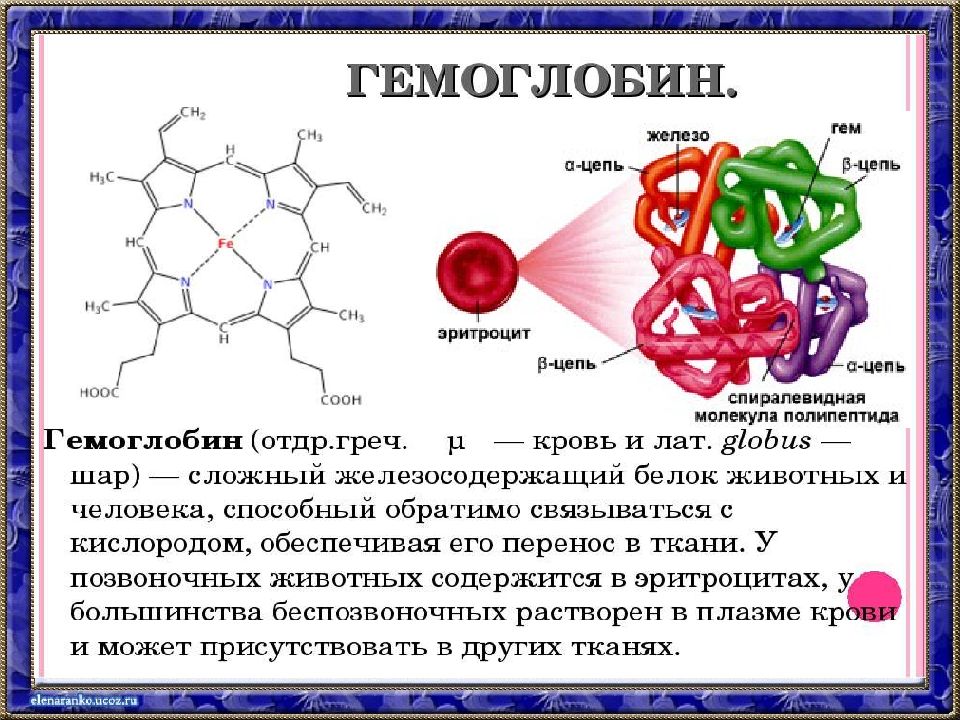 Молекула гемоглобина. Железо в гемоглобине. Молекулы железа в гемоглобине. Структура гемоглобина и железа.