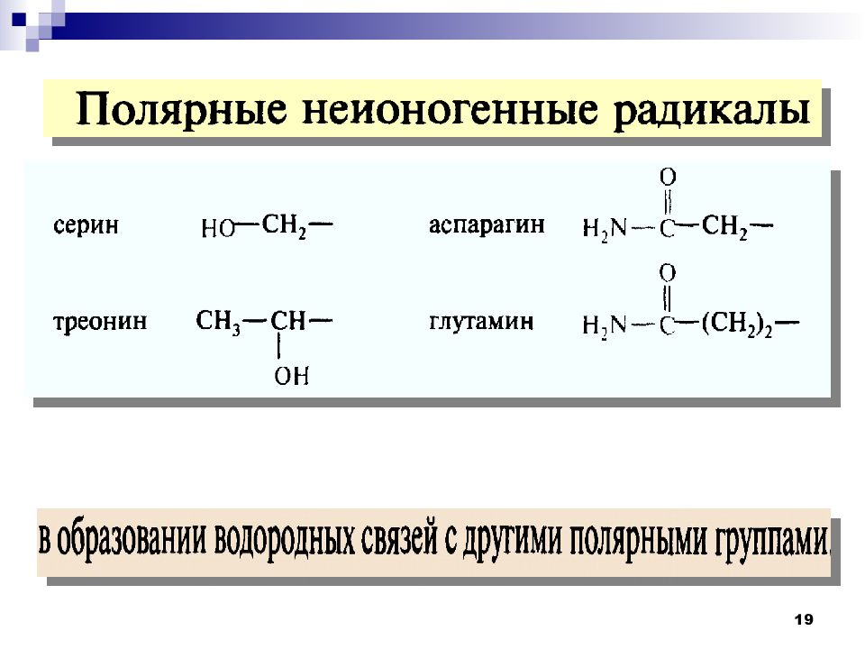 Кодирование аминокислот 10 класс