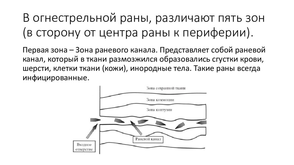 Зоны ранения. Зоны повреждения огнестрельной раны. Зоны поражения тканей при огнестрельном ранении. Зоны раневого канала в огнестрельных ранах. Зоны раны при огнестрельном ранении.