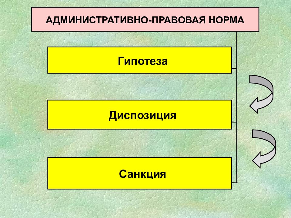 Гипотеза в административном праве. Административно правовые нормы гипотеза диспозиция санкция. Административно-правовая гипотеза диспозиция. Гипотеза административно-правовой нормы это.