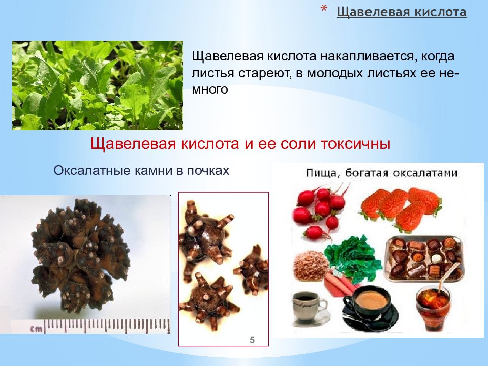 Ароматические кислоты и их соли презентация