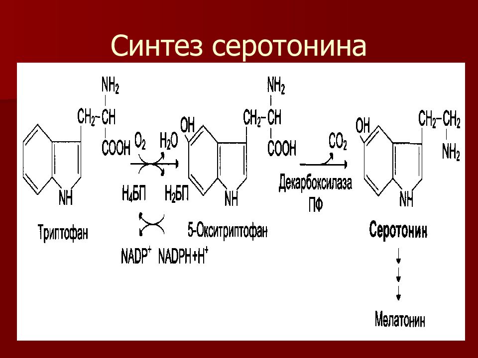 Какой синтез. Синтез серотонина из триптофана. Реакция образования серотонина. Синтез витамина в5 из триптофана. Синтез серотонина из триптофана реакции.