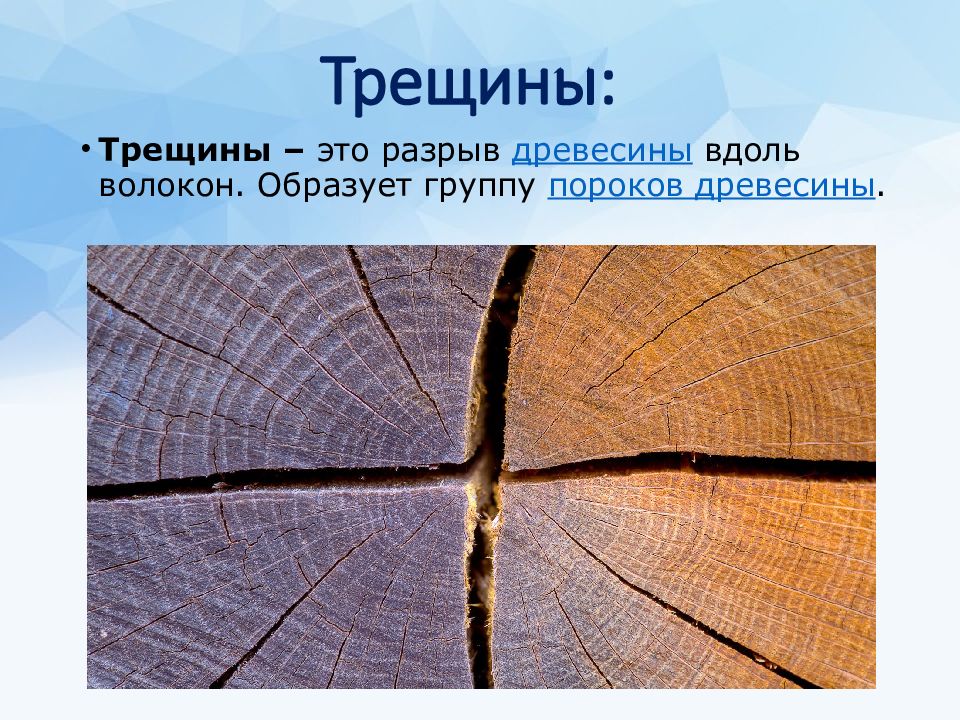 Трещина это ответы. Трещины древесины. Пороки древесины. Дефекты древесины трещины. Пороки дерева трещины.