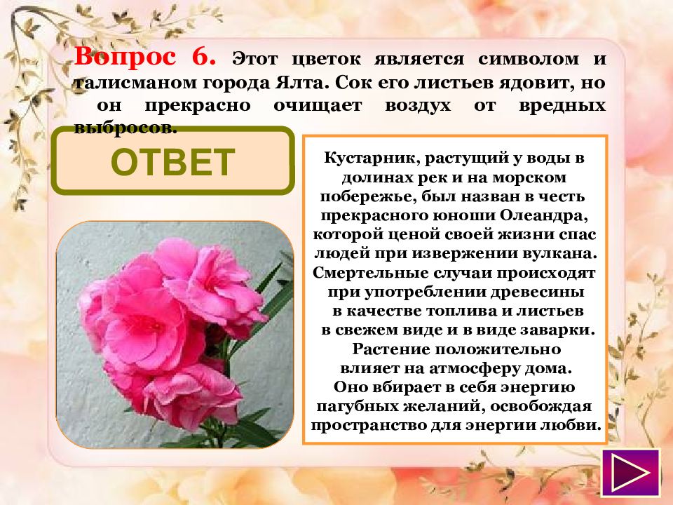 Презентация красивых цветов. Был цветок и нет цветка. Мое мнение о прекрасном цветке. Вопросы почему цветы красивые. Сообщение на технологию 5 класса о цветке одно летнем.