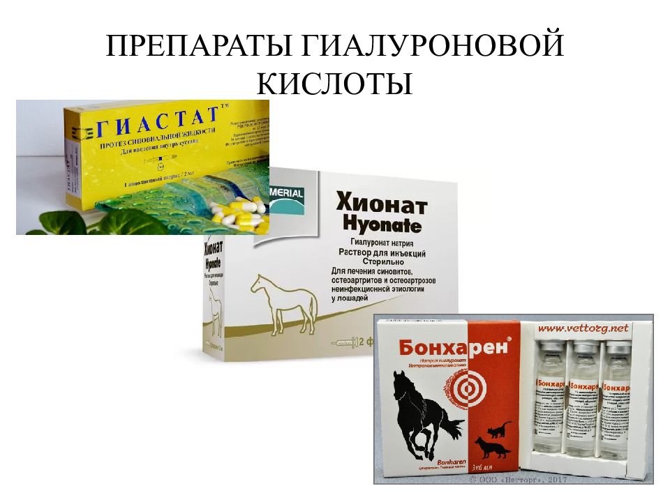 Гиалуроновая кислота для суставов отзывы. Препараты гиалуроновой кислоты для суставов. Гиалуроновая кислота для суставов. Препараты с гиалуроном для суставов. Препараты на основе гиалуроновой кислоты для суставов.