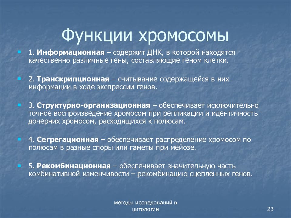 Особенности хромосом. Функции хромосом кратко. Функции. Хромосомовхромосомов.. Функции риьосом. Какова функция хромосом.