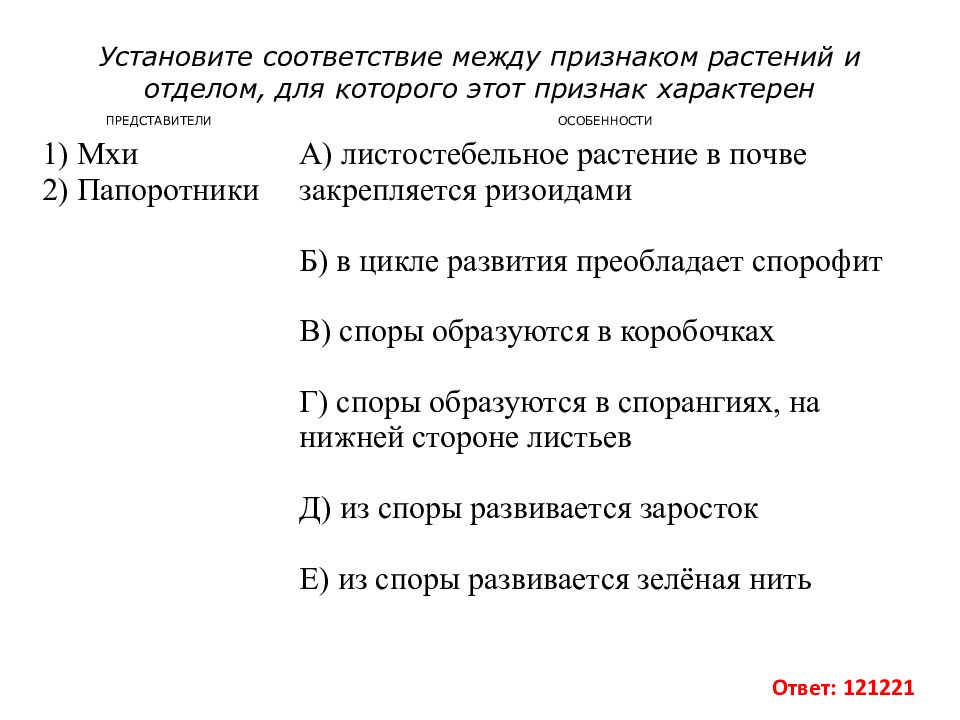 Циклы растений презентация