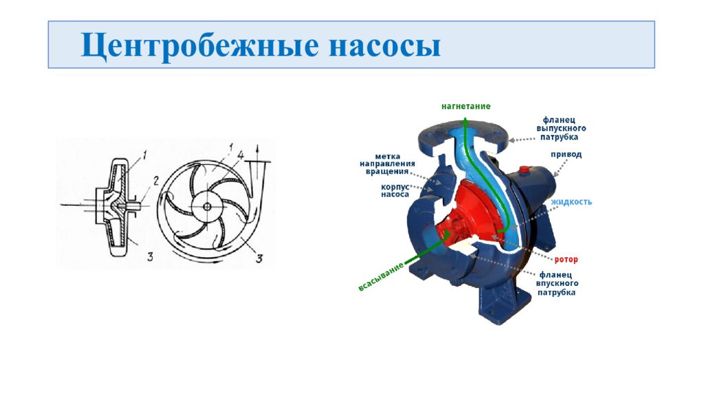 Центробежный насос системы охлаждения. Центробежные насосы схема принцип действия. Схема конструкции центробежного насоса. Центробежный насос судовой схема. Горизонтальный центробежный насос схема.