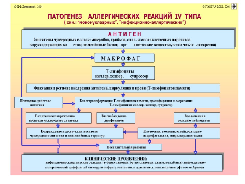 Аллергические реакции презентация