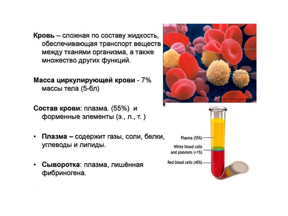 Белки плазмы крови презентация биохимия