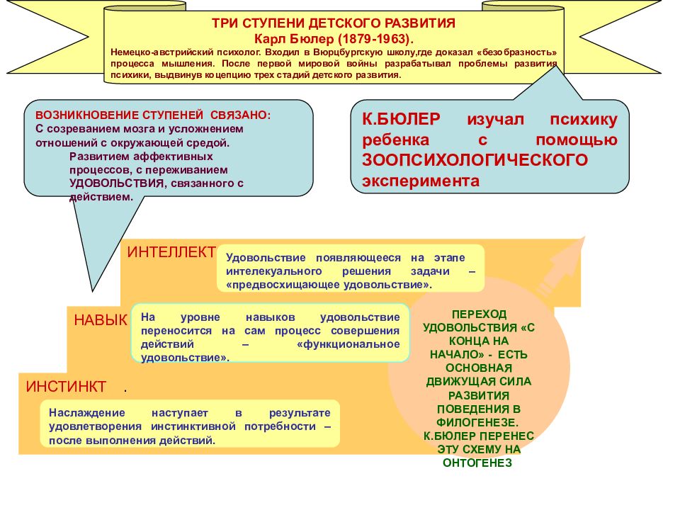 Презентация по возрастной психологии