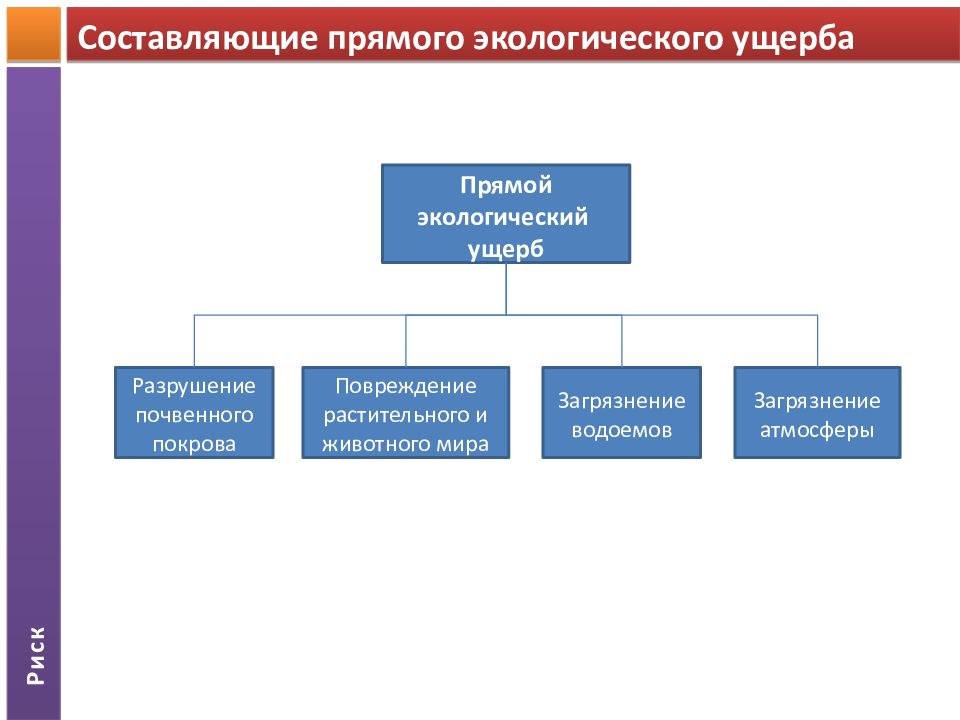 Риски ущерба. Составляющие ущерба. Прямой экологический ущерб. Основные составляющие экологического ущерба. Прямой ущерб это.