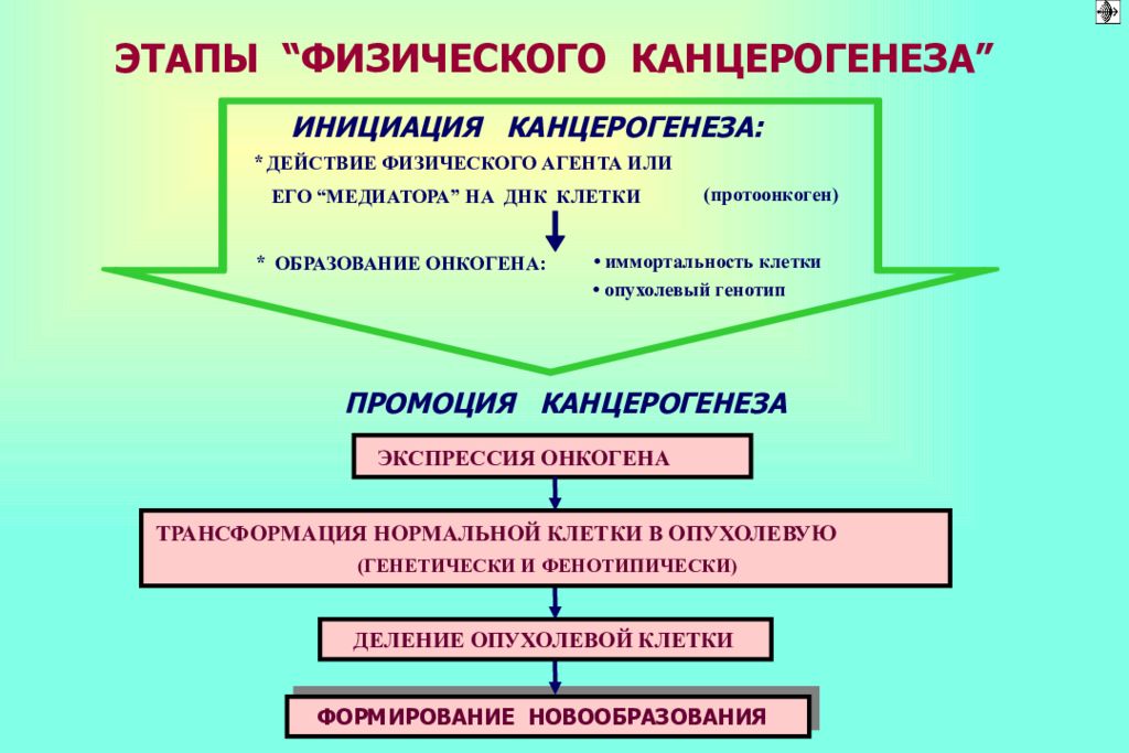 Механизмы канцерогенеза презентация