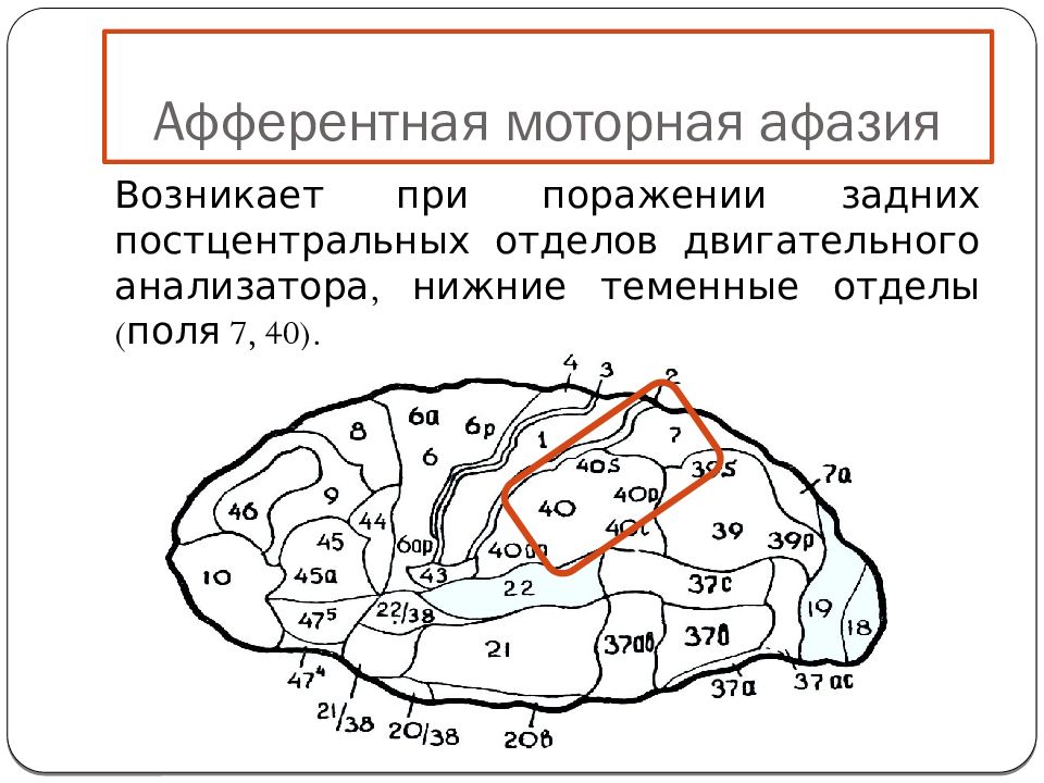 Степень выраженности афазии. Очаг поражения при эфферентной моторной афазии. Поражения при афферентной моторной афазии. Афферентная моторная афазия локализация очага поражения. Эфферентная моторная афазия зона поражения.