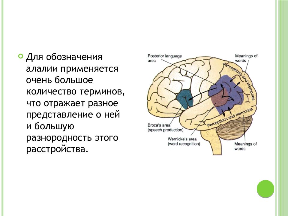 Разное представление. Большое количество Термено. Термин синоним алалии. Алалия внутреннее строение TXB. Один из используемых терминов-синонимов алалии.