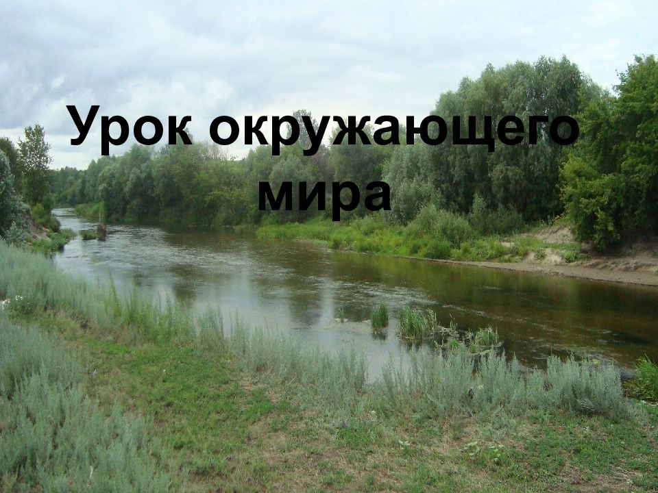 Урок окружающего мира