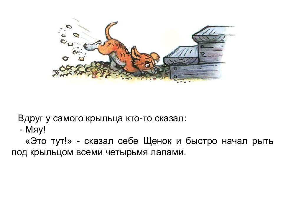 Кто сказал мяу текст. Кто сказал "мяу"?. Сутеев кто сказал мяу картинки. Сутеев кто сказал мяу текст. Мышки под крыльцом.