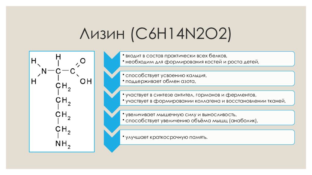 N 6 c. Лизин. Лизин структура. Лизин функции в организме. Роль лизина в организме.