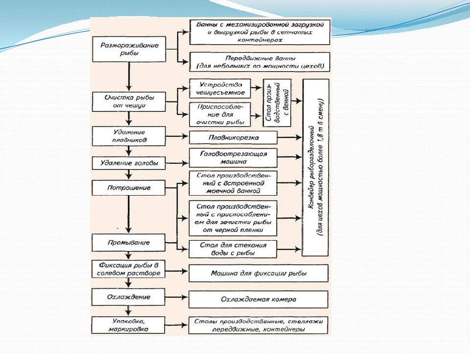 Методы обработки рыбы. Первичная обработка морепродуктов схема. Схема первичной обработки рыбы. Первичная обработка Бесчешуйчатой рыбы. Этапы механической обработки рыбы.