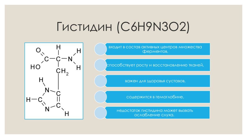 Гистидин для чего. Гистидин. Гистидин презентация. Гистидин меди. Гистидин характеристика.