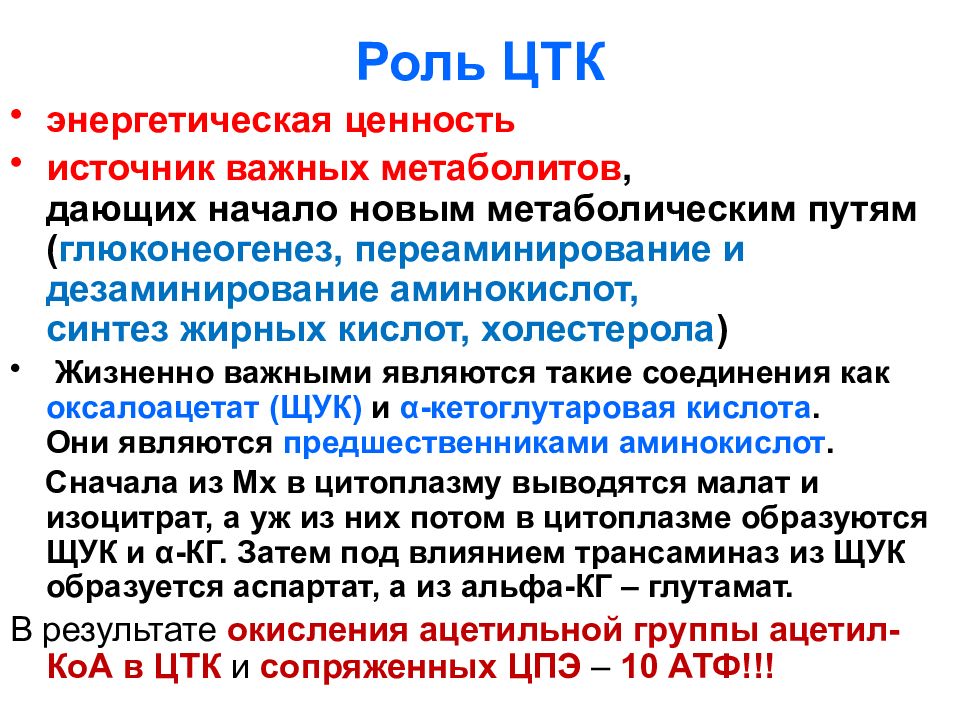 УГЛЕВОДЫ: функции и обмен Роль ЦТК