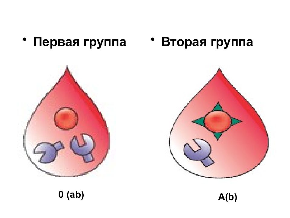 Презентация на тему группа крови