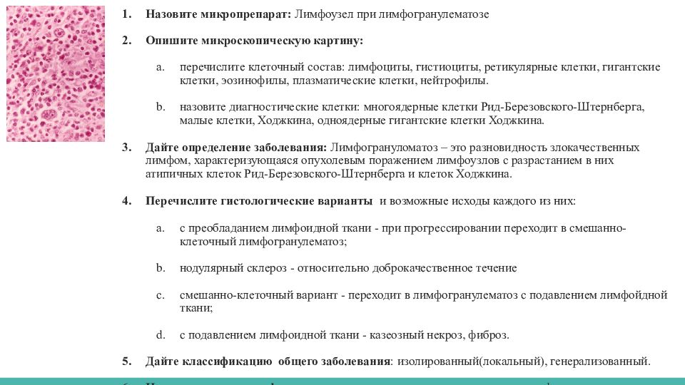 Описание микропрепарата. Лимфатический узел при лимфоме Ходжкина микропрепарат. Лимфома Ходжкина микропрепарат описание. Лимфатический узел при болезни Ходжкина микропрепарат. Лимфатический узел при лимфогранулематозе микропрепарат.