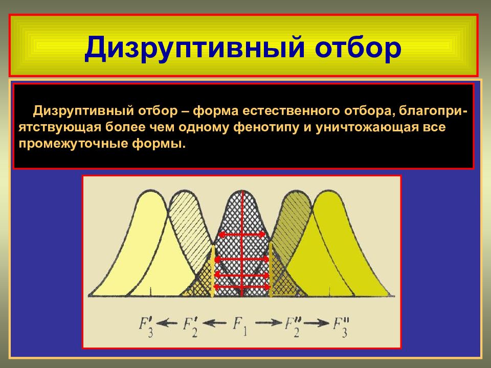 Формы отбора картинки