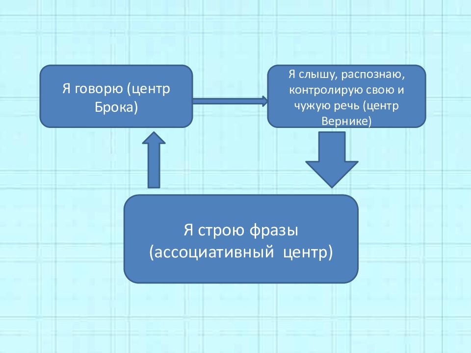 Скажи центр