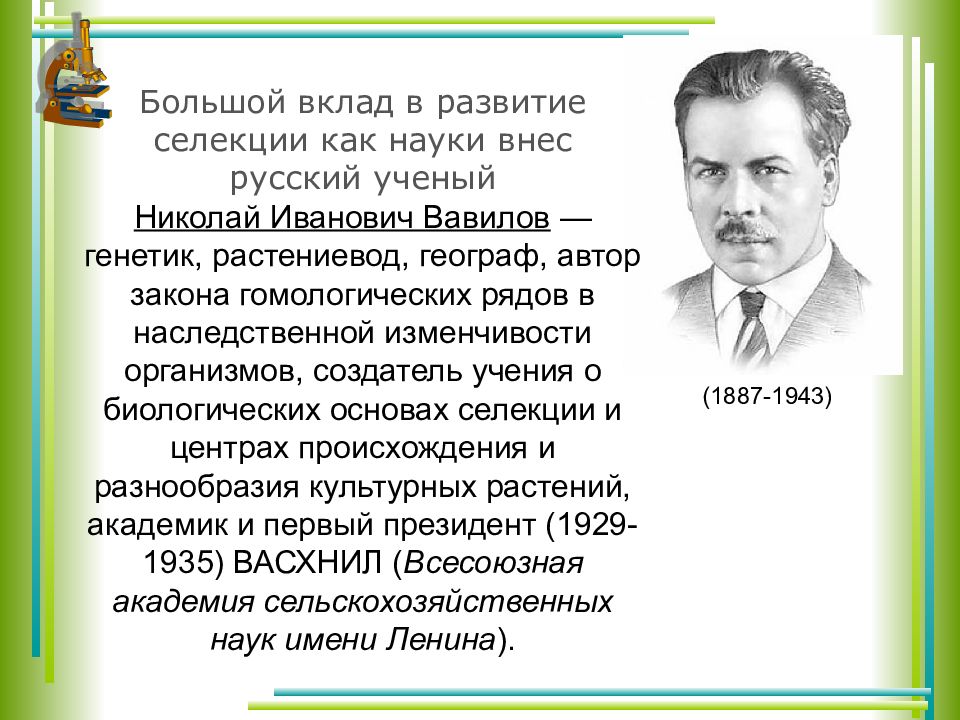 Генетические основы селекции вклад н и вавилова в развитие селекции презентация 11 класс