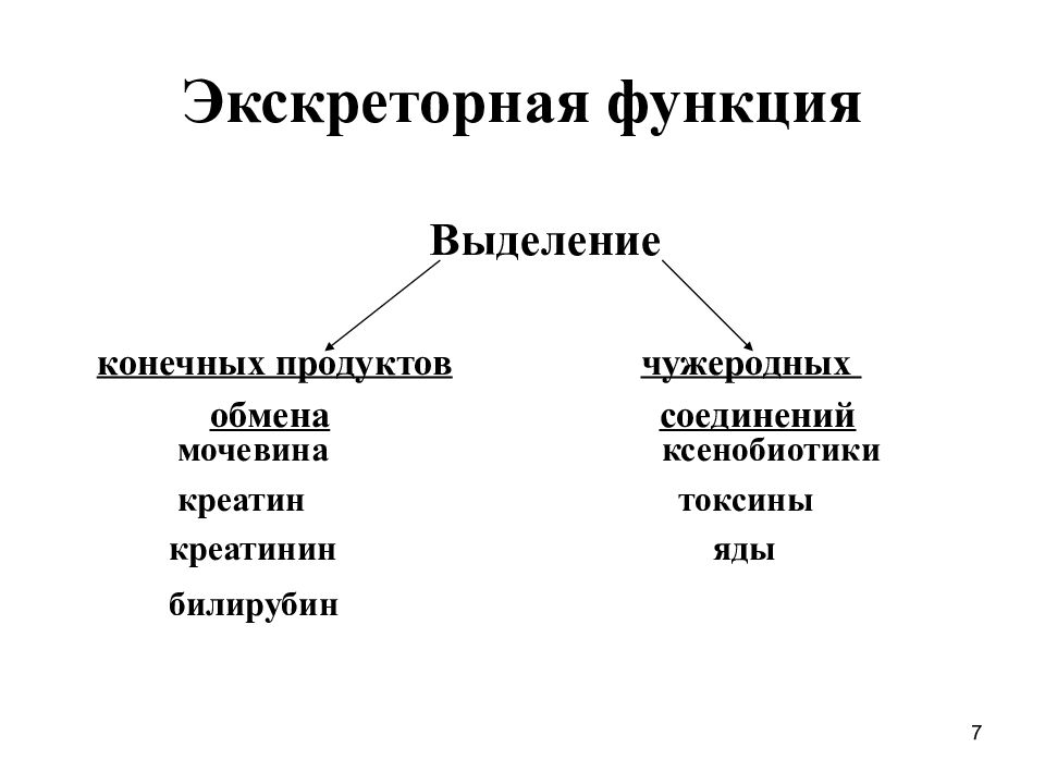 Выделение конечных продуктов. Экскреторная функция. Экскреторная функция функция. Выделительная функция почек биохимия. Экскреторная функция физиология.