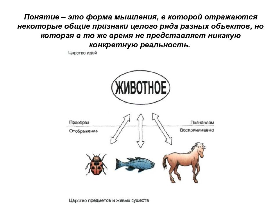 Объяснить понимание