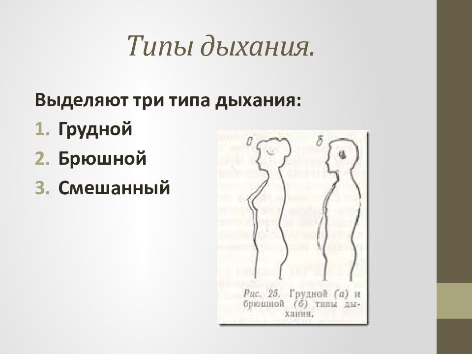 Типы дыхания. Типы дыхания грудной брюшной и смешанный. Типы дыхания брюшное грудное смешанное. Грудной диафрагмальный смешанный Тип дыхания. Брюшной Тип дыхания.