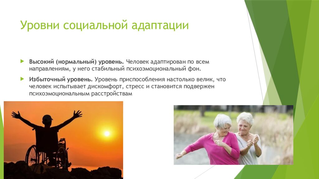 Уровни социальной адаптации