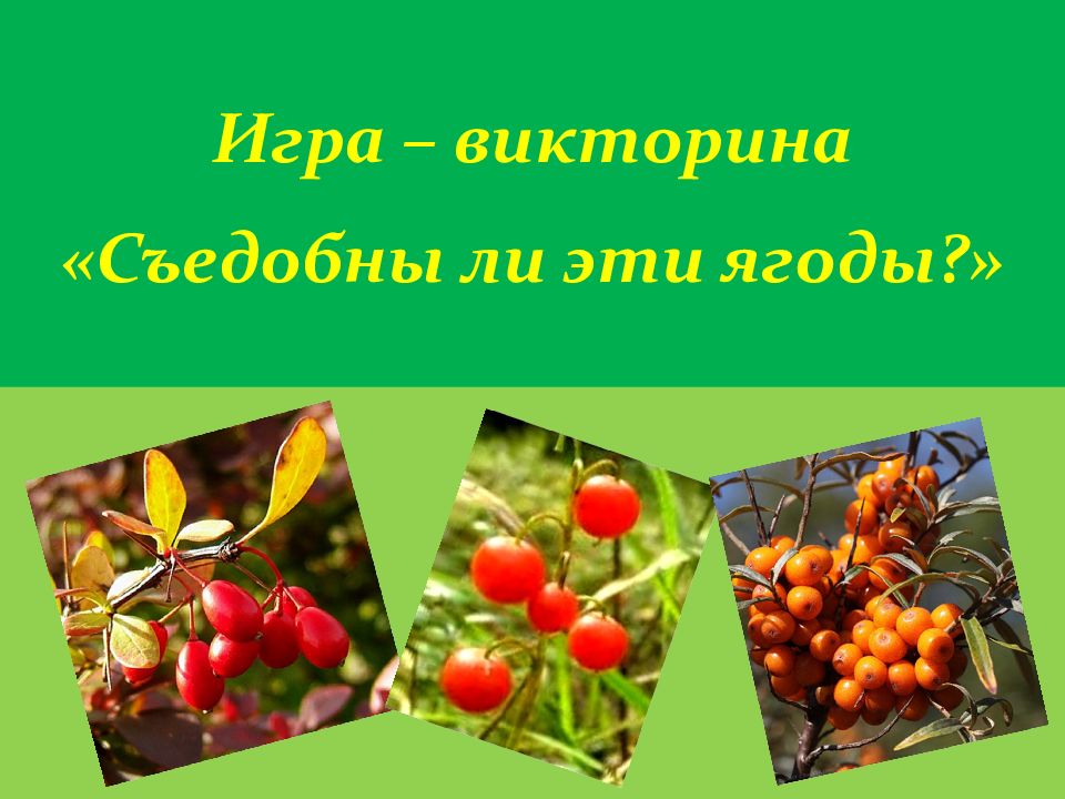 Ягода адрес. Съедобные ягоды. Игры съедобные ягоды. Летом поспевают ягоды.