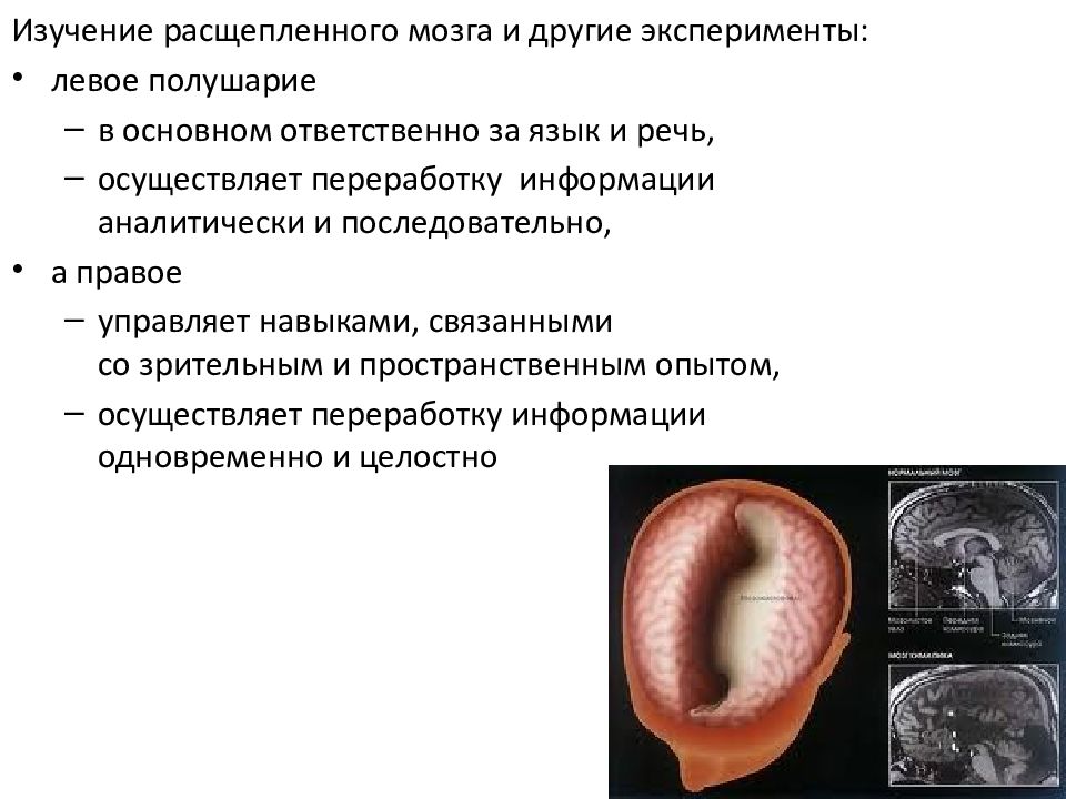 Левый эксперимент. Левый эксперимент
