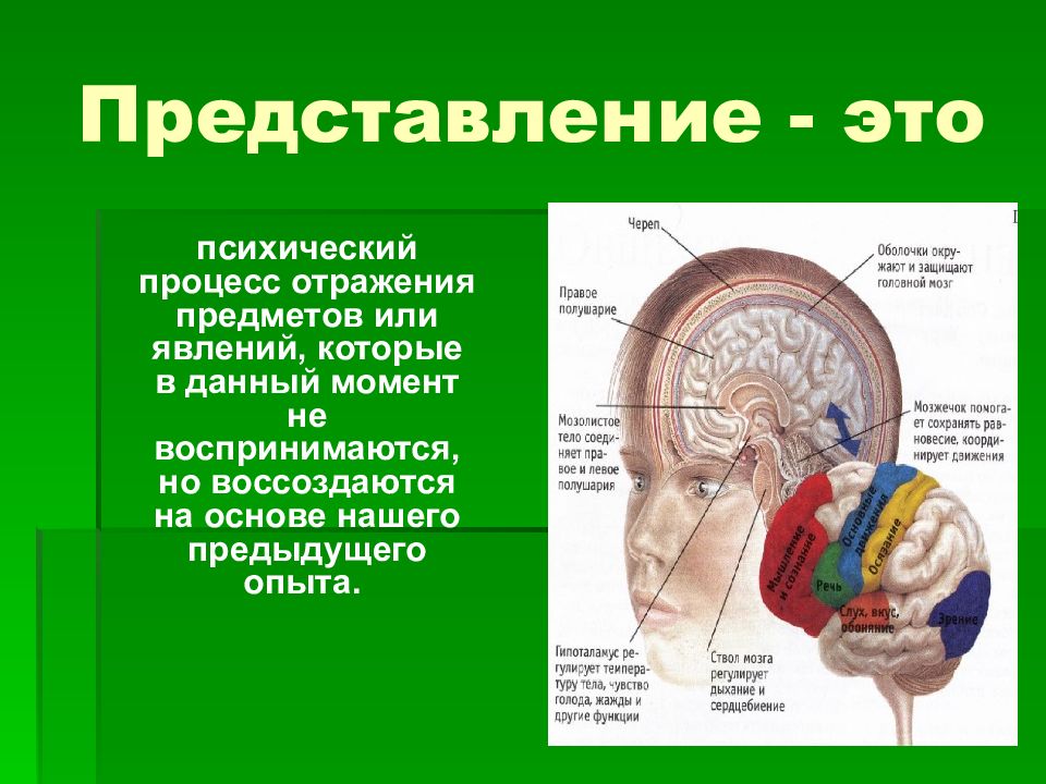 Представления в психологии презентация