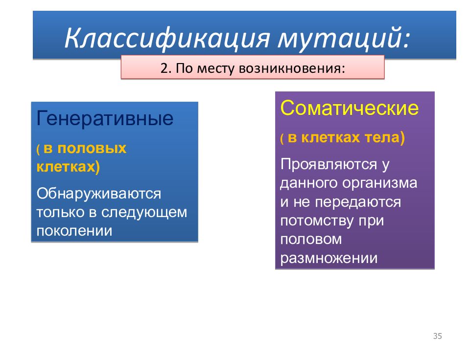 Схема классификации мутаций. Классификация мутаций по месту возникновения. Классификация мутаций по Мушинскому. Мутационная изменчивость классификация мутаций. Соматические мутации передаются потомству у.