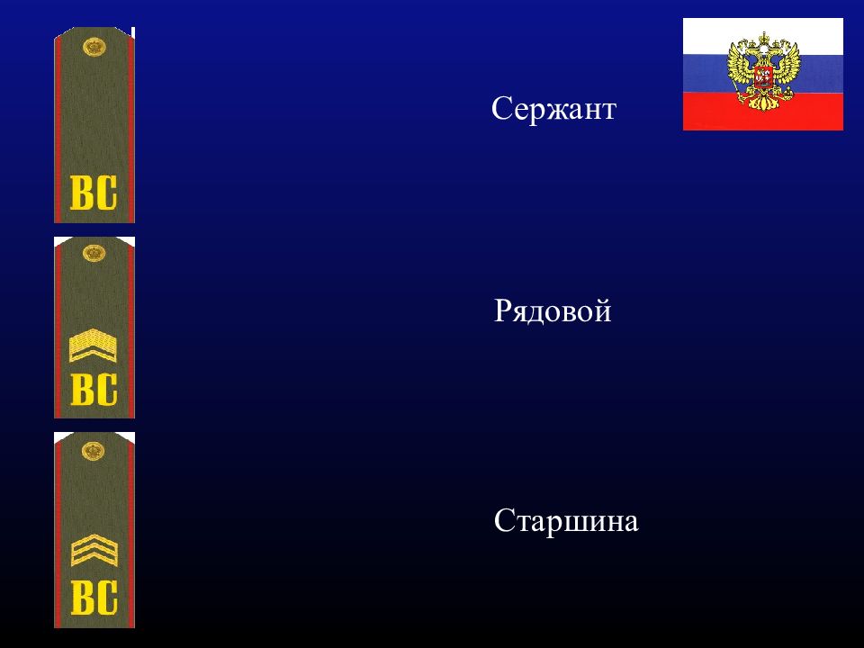 Звание старший сержант. Старшина 1 класса. Погоны рядового и сержантского отряда.