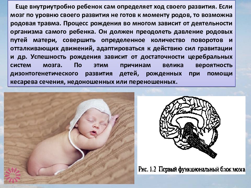 Внутриутробное поражение головного мозга. Формирование ЦНС У плода. Мозг ребенка. Внутриутробного развития спинного и головного мозга. Формирование мозга у ребенка.