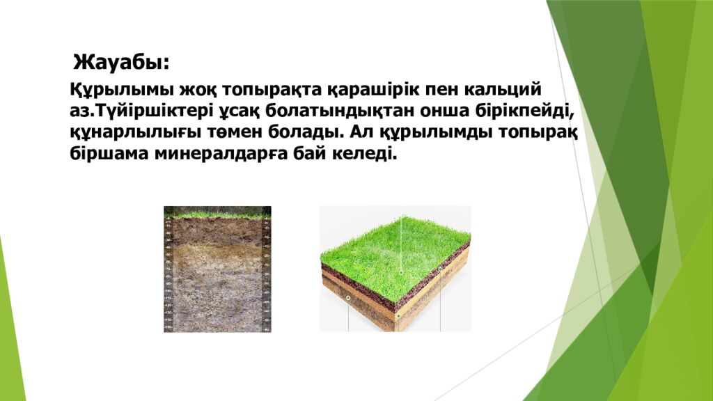 ТОПЫРАҚ ЖӘНЕ ОНЫҢ ҚҰРАМЫ МЕН ҚҰРЫЛЫМЫ