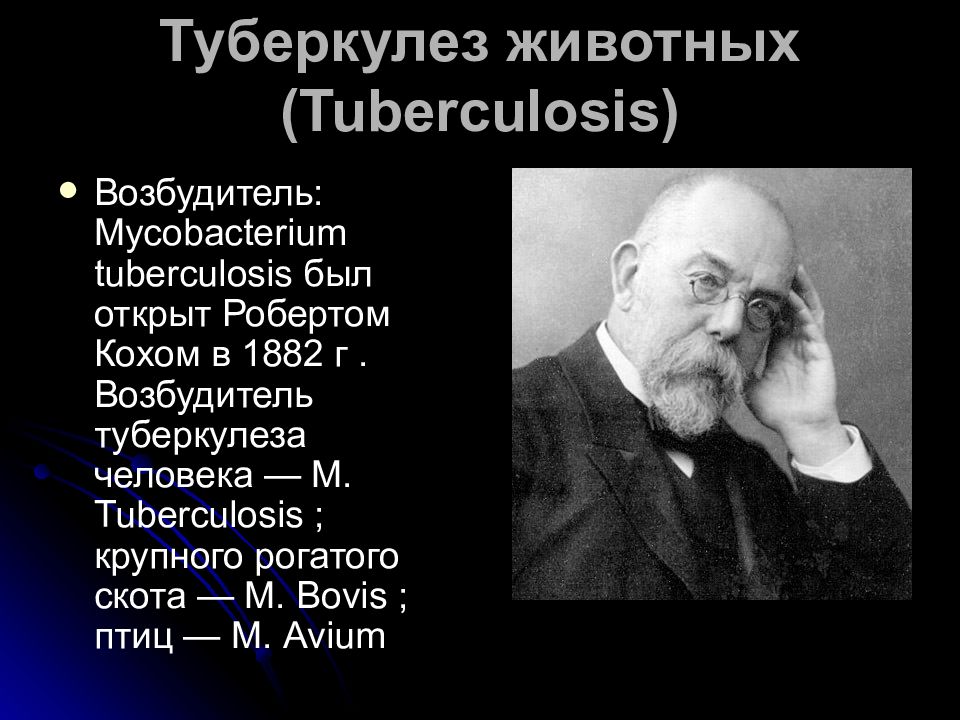 Туберкулез животных (Tuberculosis)