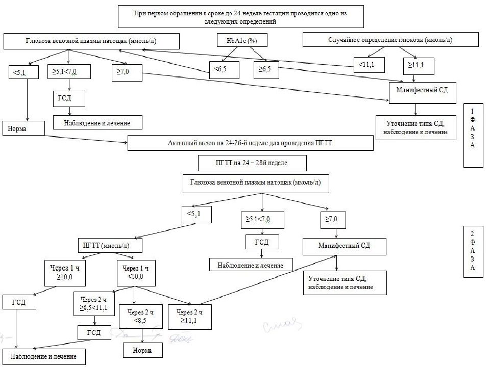 Гестационный диабет код мкб. Протокол гестационный сахарный диабет 2023. Скрининг гестационного диабета. Гестационный сахарный диабет тактика ведения. Гестационный диабет статистика.