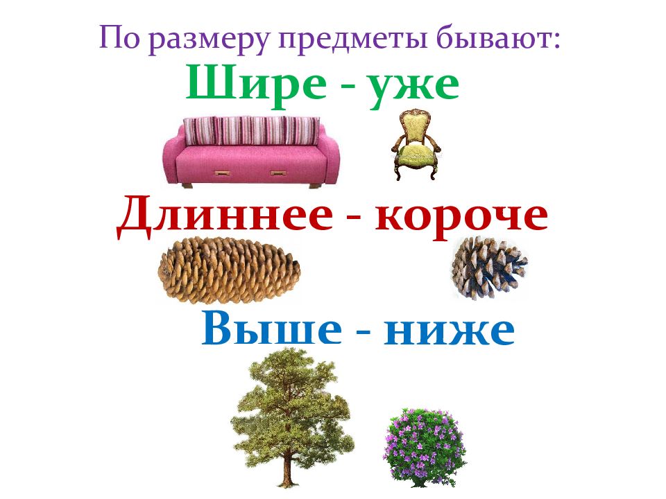 Предметы бывают. Сравни предметы. Сравниваем предметы. Сравнить предметы по размеру. Сравнение предметов по размеру.