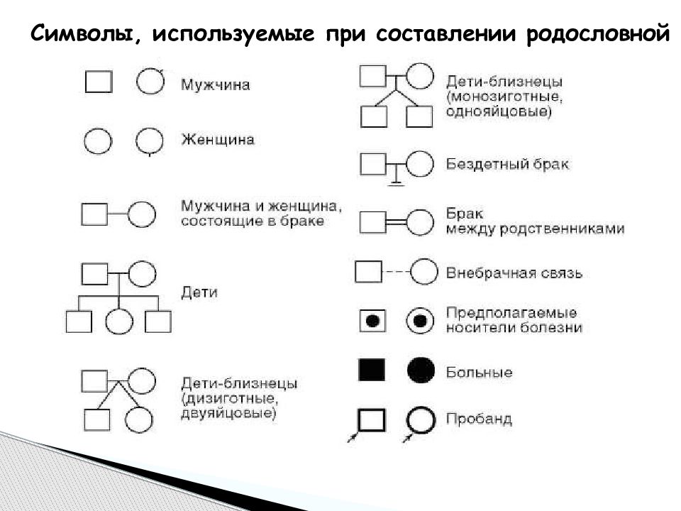 Составить графическое изображение. Символы используемые при составлении родословной генетика. Родословная обозначения в генетике. Генеалогический метод обозначения в родословных. Генеалогический метод исследования генетики человека символика.