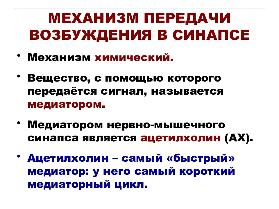 Нервно мышечный синапс передача. Механизм нервно-мышечной передачи возбуждения. Механизм передачи возбуждения в синапсах. Механизм передачи возбуждения в химическом синапсе. Механизм передачи возбуждения в нервно-мышечном синапсе.