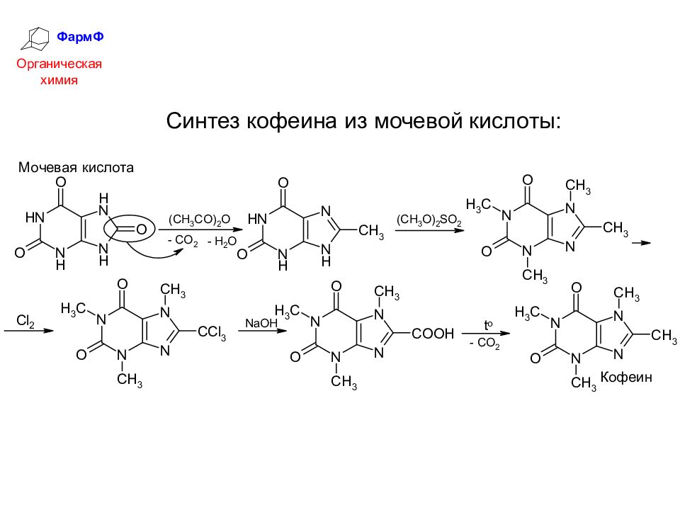 Химические процессы синтеза. Синтез кофеина из ксантина. Синтез кофеина из мочевой кислоты. Мочевая кислота ксантин кофеин Синтез. Получение ксантина из мочевой кислоты.