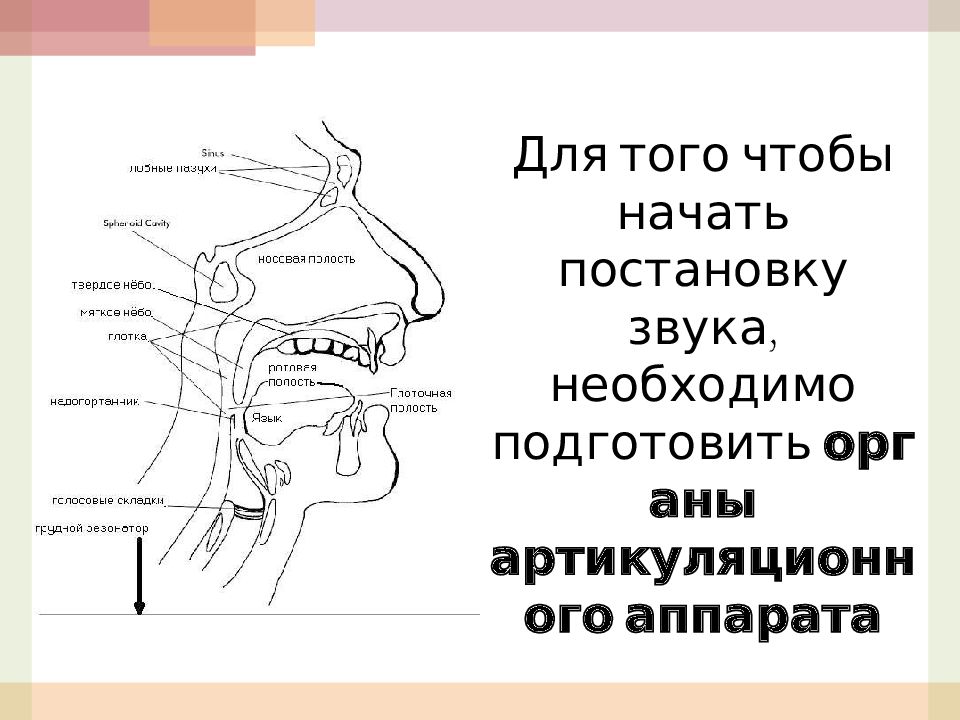 Постановка звука л. Постановка твердого л. Постановка звука л твердого. Приемы постановки звука л.